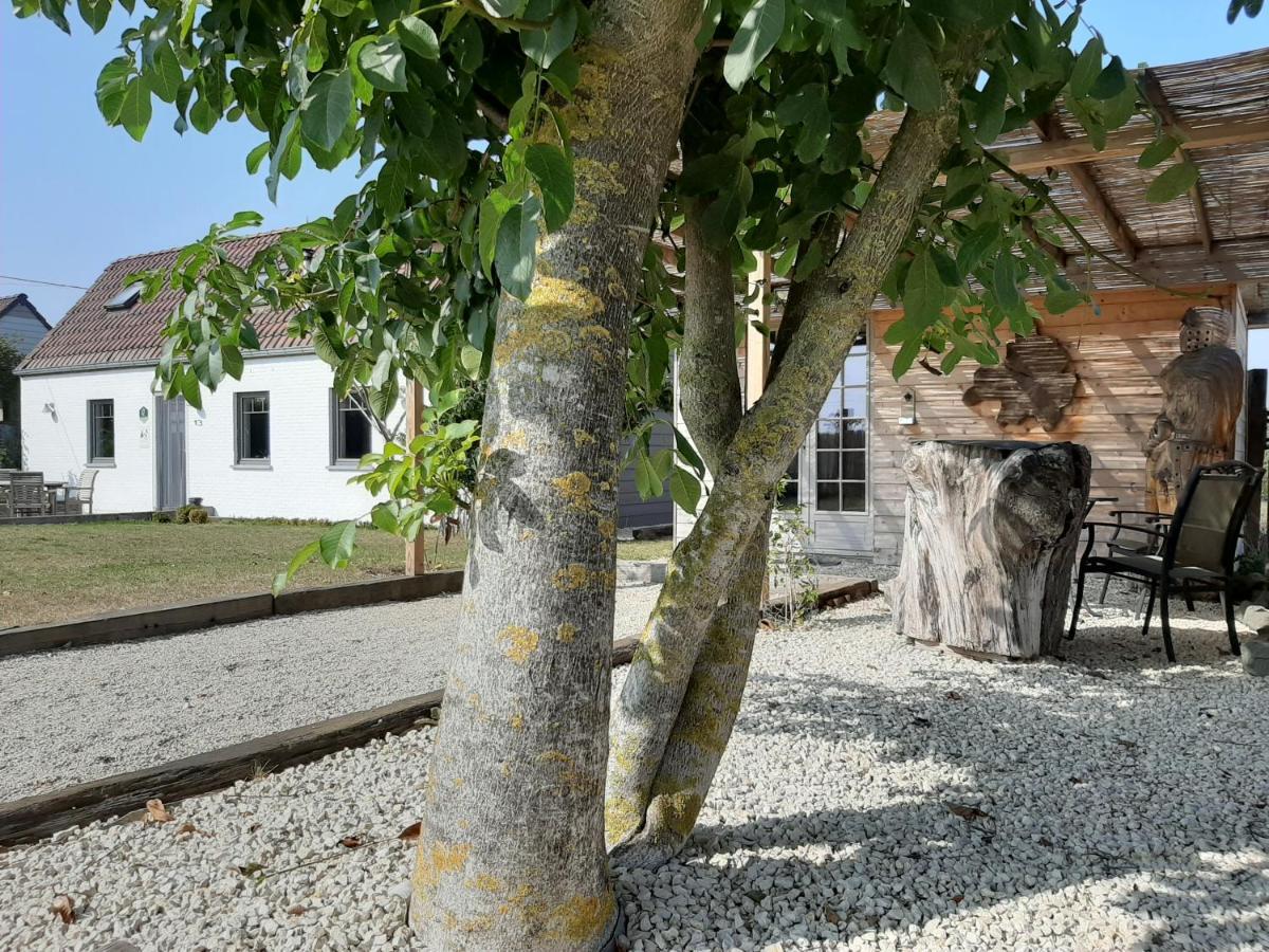 Willa La Petite Juliette Leuze-en-Hainaut Zewnętrze zdjęcie