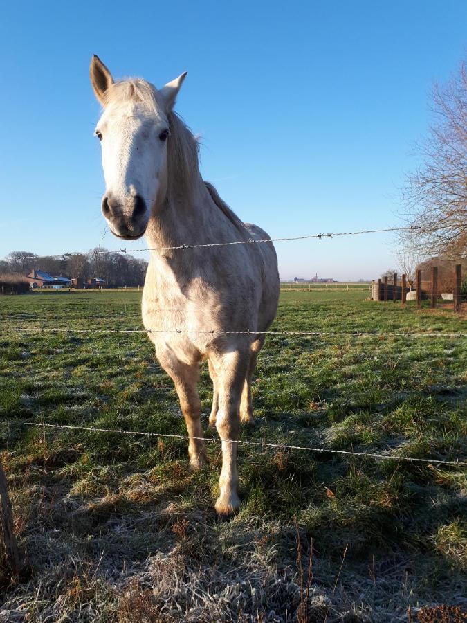 Willa La Petite Juliette Leuze-en-Hainaut Zewnętrze zdjęcie